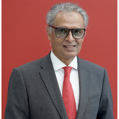 Amb. Syed Akbaruddin — Member · IFS (Retd.)